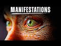 The Demonic Manifestations You Should Be Aware Of