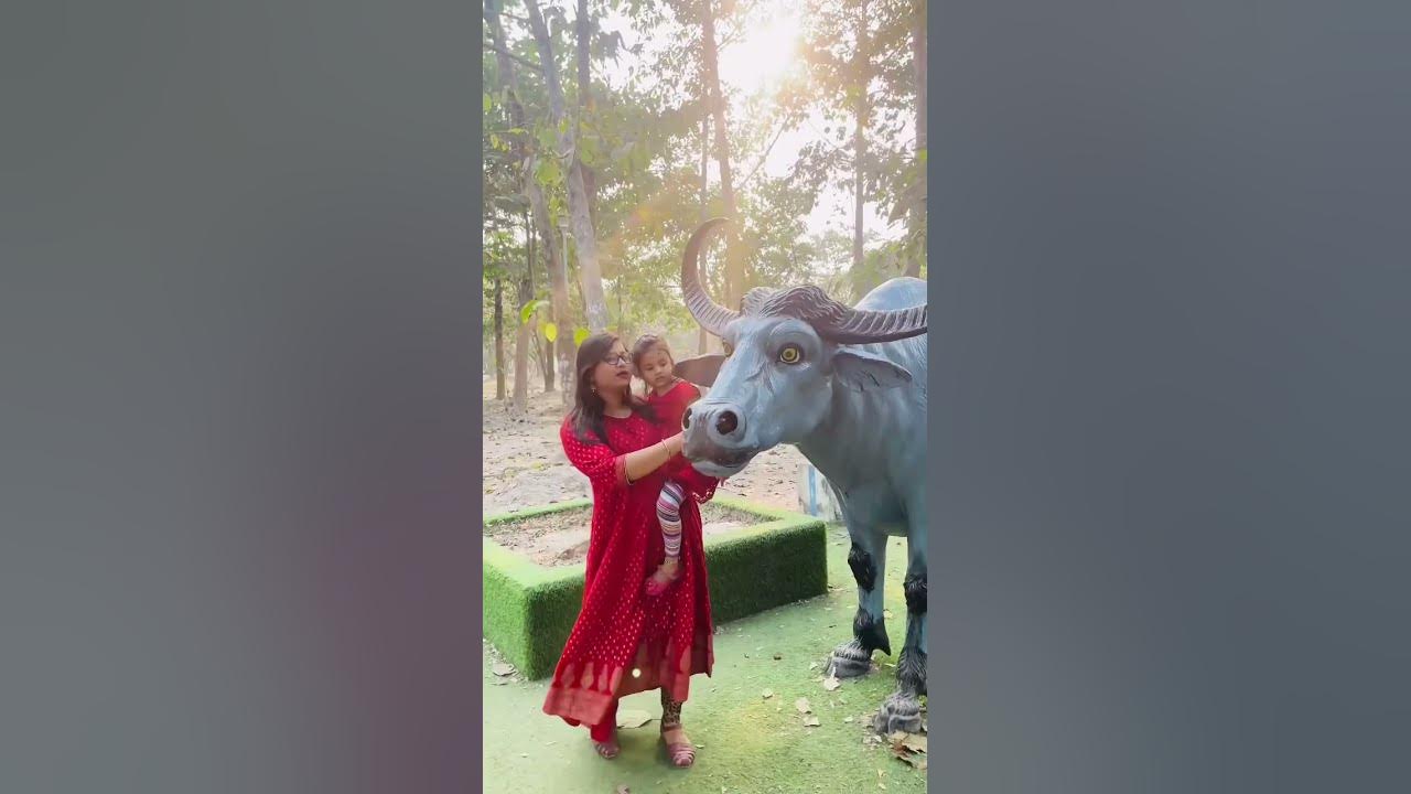 Aru Ne Jungle Dekha Last Wala Animal Ka Naam Batao shorts YouTube aru-ne-jungle-dekha-last-wala-animal-ka-naam-batao-shorts-youtube