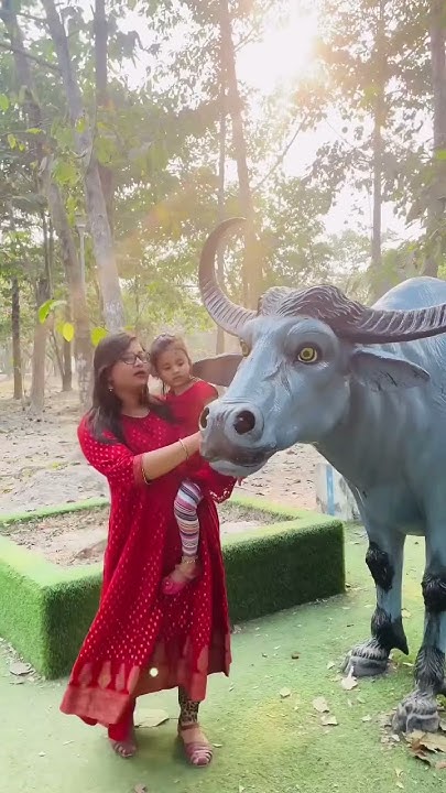 aru-ne-jungle-dekha-last-wala-animal-ka-naam-batao-shorts-youtube