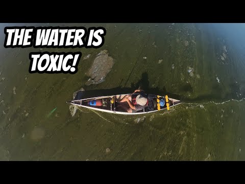 Alberta S Only Canoe Circuit Was Kind Of Gross