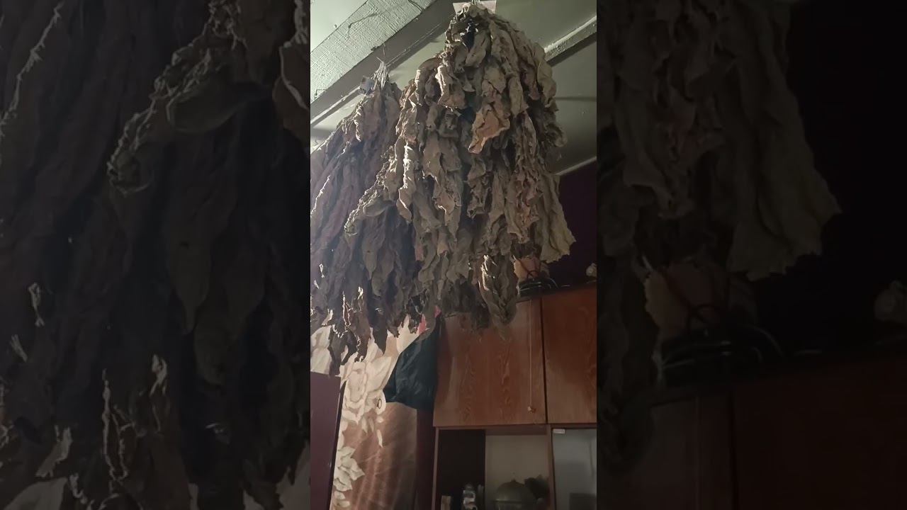 Про золотые 5%, и мощность ферментатора.