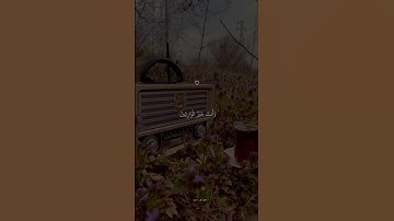 وزكريا اذ نادى ربه رب لاتذرني فردا || القارئ اسلام صبحي