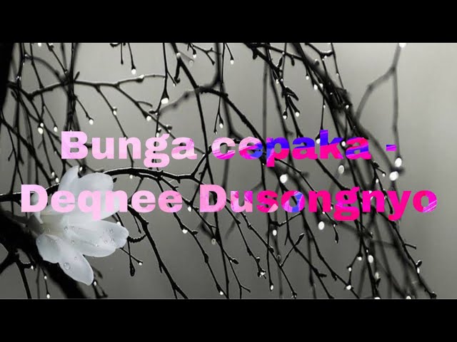 Bunga cepaka - Deqnee Dusongnyo lirik (Lyrics) class=