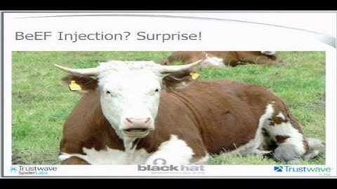 Black Hat USA 2012 - Hookin Aint Easy: BeEF Injection with MITM