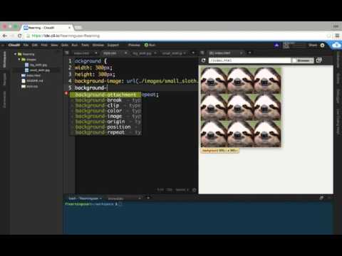 CSS 배경 이미지 넣기