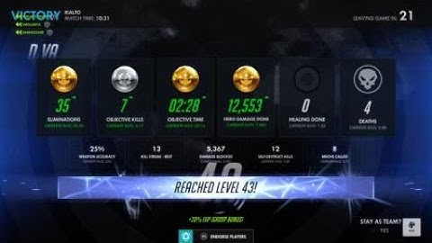 Overwatch: Origins Edition team kill D.Va & Sombra & Reinhardt