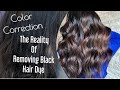 COLOR CORRECTION | The Reality Of Removing BLACK HAIR DYE