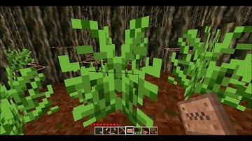 Rain Forest Biome(Jungle Grass & Starting a Farm) | Minetest | Episode 5