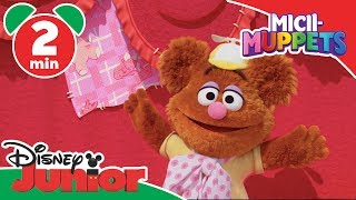Micii-Muppets Disney Junior România Descrierea Lui Fozzie