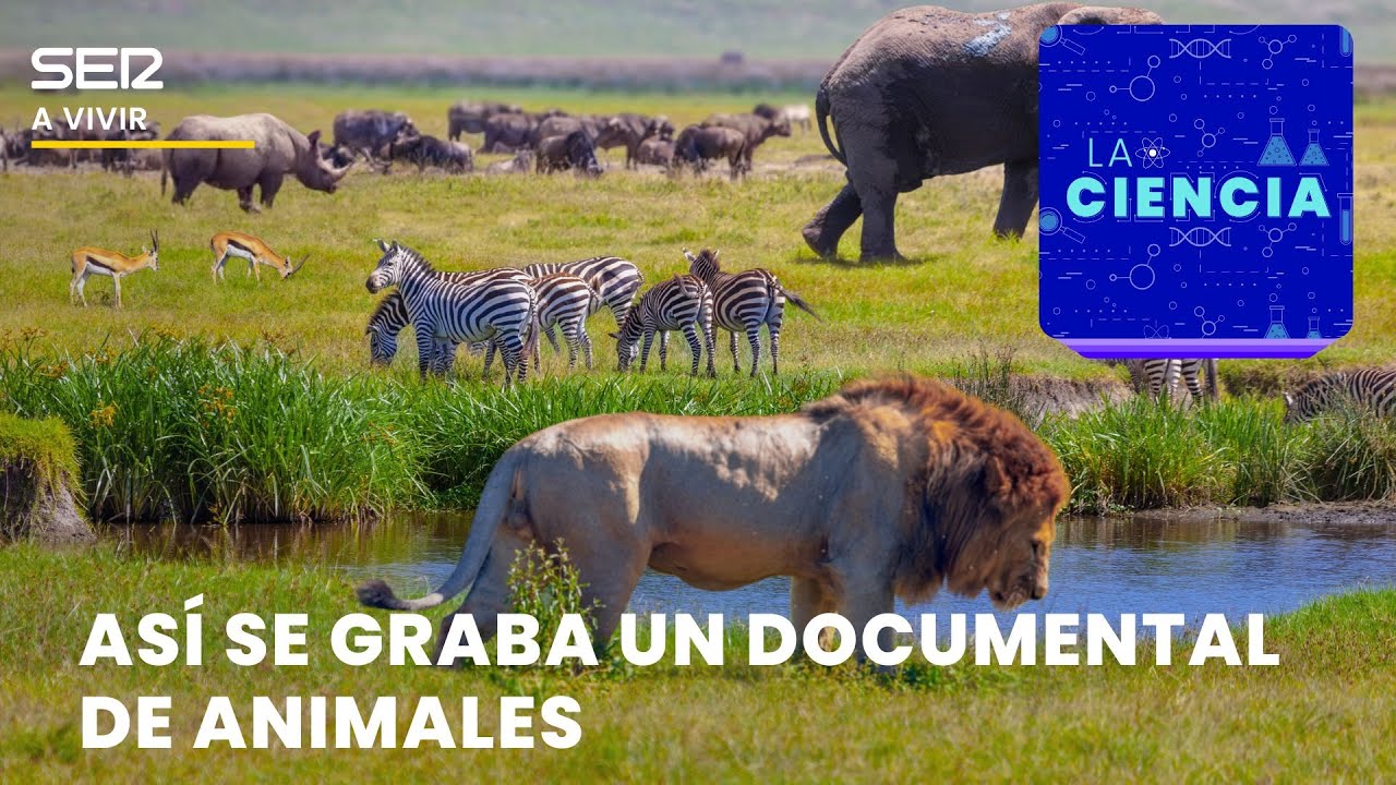 Así se grabó el documental de animales que narra Tom Hanks