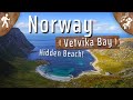 Experience this PARADISE Beach Hike | Vetvika Bay NORWAY | Bremangerlandet [Virtual Walk 4K]