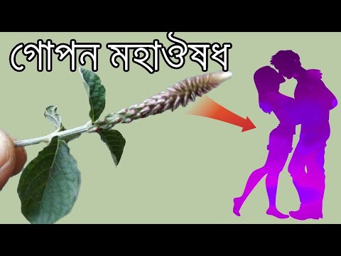 ভিডিও: খিলান গুন