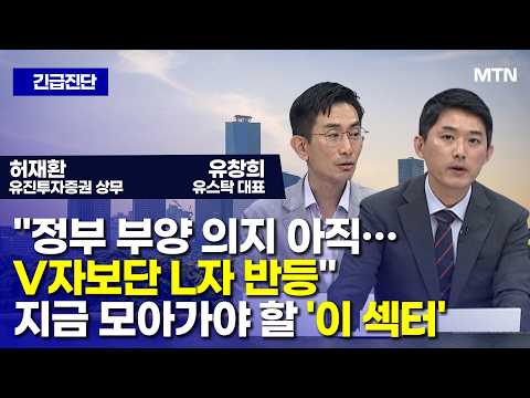[긴급진단] "정부 부양 의지 아직…V자보단 L자 반등" 지금 모아가야 할 '이 섹터' / 머니투데이방송 (증시, 증권)