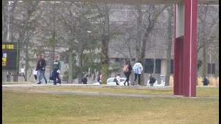 Details Ontario strengthens sexual violence and harassment policies at post secondary institutions Update
