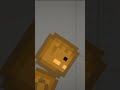 melon have a some revenge to pumpkin