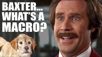 Calculating Macros Made Easy || MACROS FOR WEIGHT LOSS