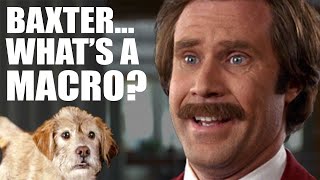 Calculating Macros Made Easy || MACROS FOR WEIGHT LOSS