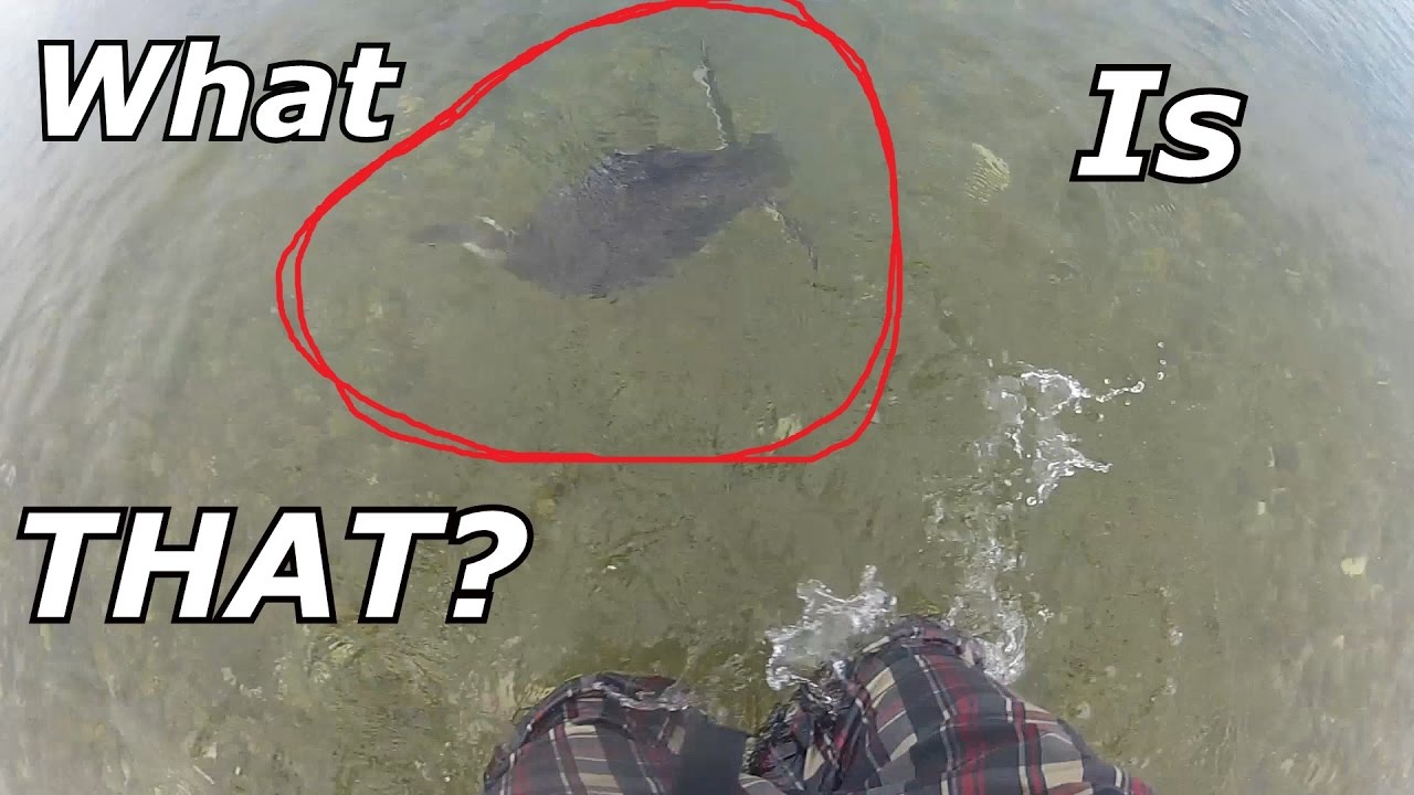 EPIC SCARE while beach fishing FUNNY FISHING moments YouTube