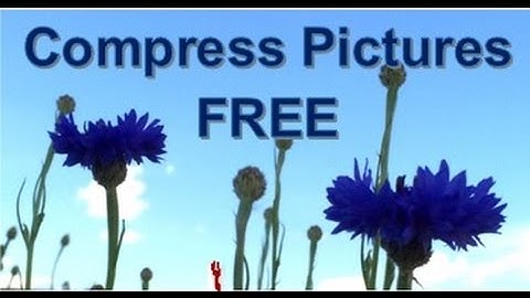 FREE Software FILEminimizer - Compress / Reduce 100s of pictures / images - balesio AG - Swiss Made