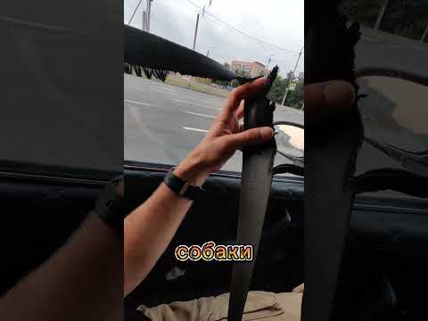 Жигули - управляй, но только не обкакайся 🤣 #reels #прикол #жигули #жиза