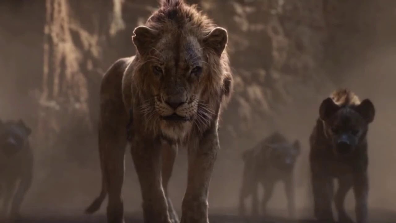 El Rey León Listos Ya 2019 (Polaco) YouTube