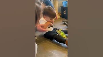 weee funny comedy videos 🤣#memes #weeecomedy #wee #cats#dogs#weeecomedyofficial #funny //(2)