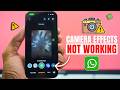 iPhone Camera Effects Disabled on WhatsApp | Here's Why!