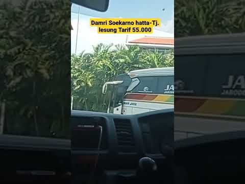 TARIF DAMRI SOEKARNO HATTA-TANJUNG LESUNG #damri #soetta #bandara