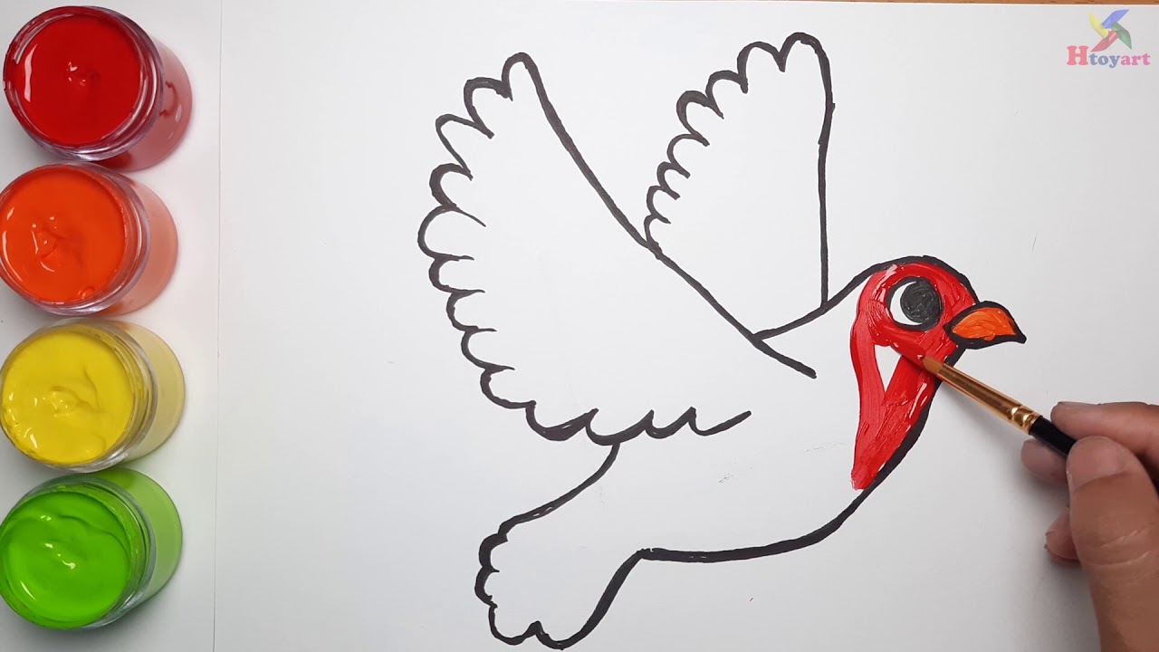 Vẽ và tô màu chim bồ câu | Draw and color pigeons | Htoyart - YouTube