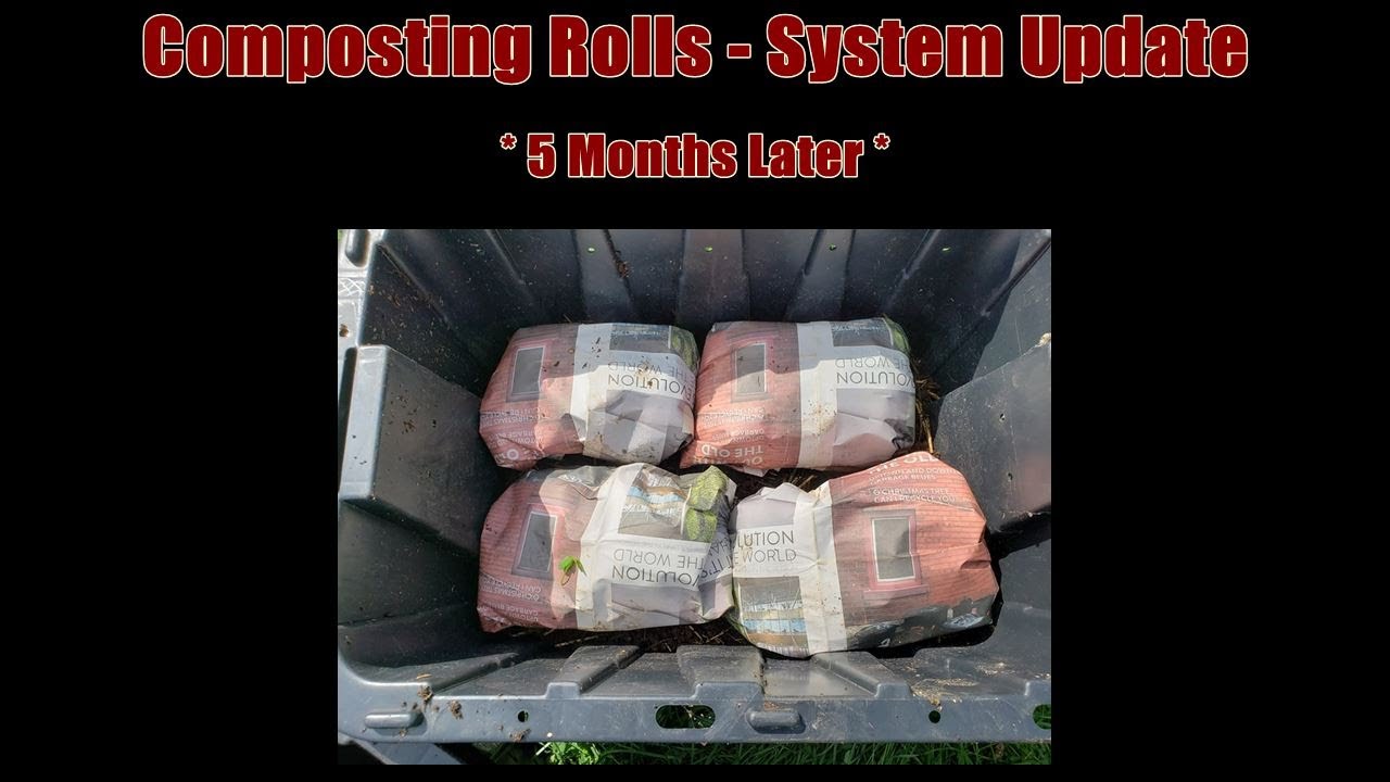 Composting Rolls Passive Worm Bin - 5 Months Later - YouTube