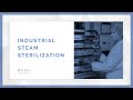 TechTalk: Fundamentals of Industrial Steam Sterilization