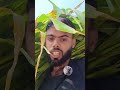 kisaan ke balak #shaayri #shayrisafar #shorts #yiutubeshort #trending #shortvideo