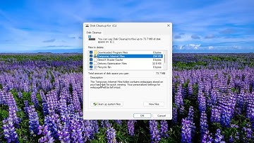 How To Delete Your Temporary Internet Files In Windows 11 [Guide]