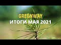 Итоги мая и планы от Greenway