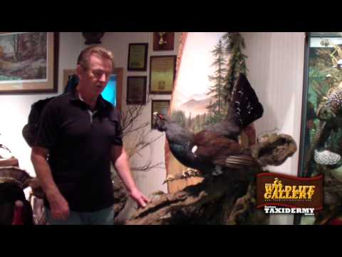 hunting simulator pc Tip - Frank Newmyer Field Care