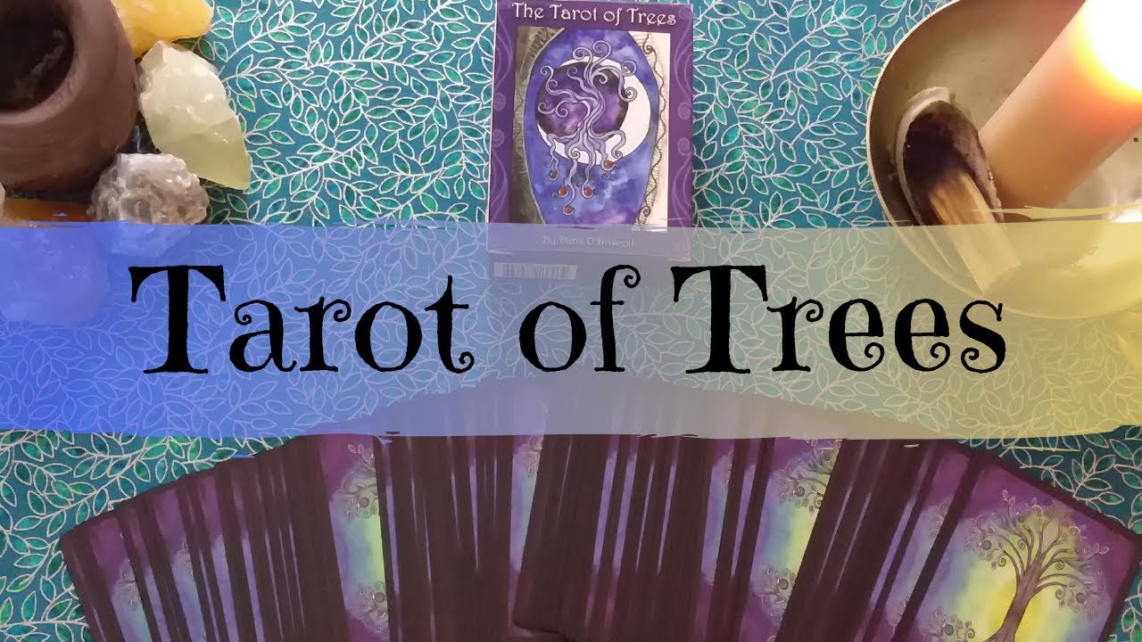 Walkthrough: Tarot of Trees by Dana Driscoll