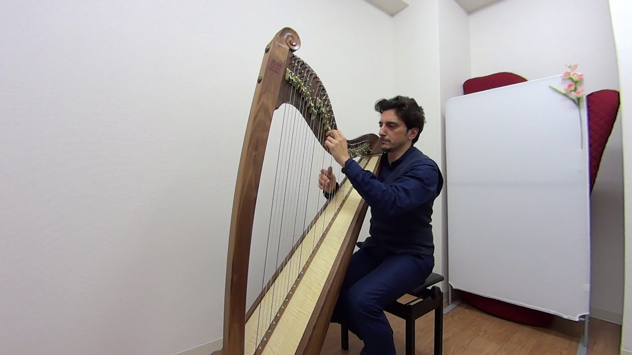 グレースハープ　パステルハープ 中古 グレースハープ・インターナショナル / Teifi Harp EOS36【Cherry】