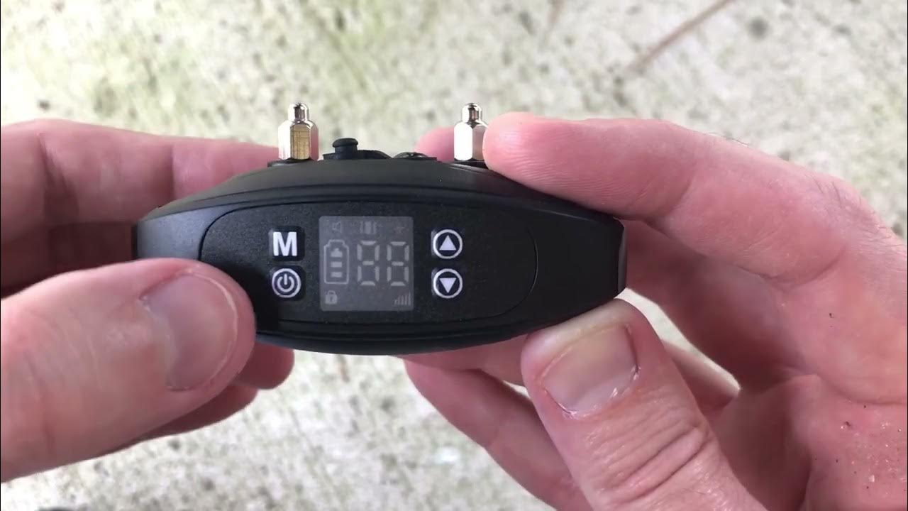 My Pet Command Wireless GPS Dog Fence System YouTube