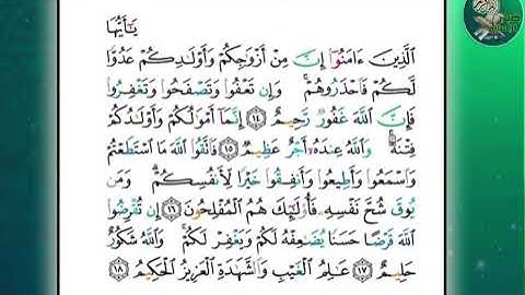 سورة التغابن من ١٤ الى ١٨