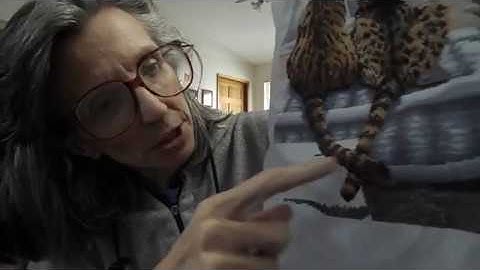 Cross Stitch/Flosstube Works in Progress, Happy Mail and Cross Stitch Patterns a Day Calendar