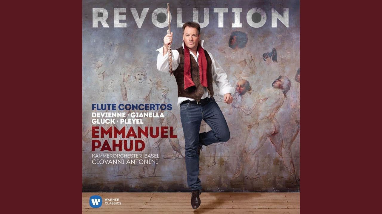 Flute Concerto No. 1 in D Minor: III. Allegro