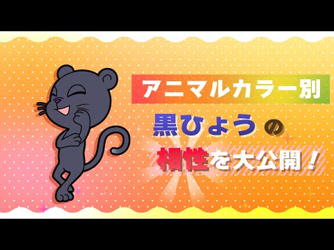 動物占い 黒ひょうのアニマルカラー別相性を大公開 Youtube