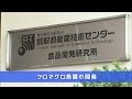 産業技術ＨＯＴ情報：クロマグロ魚醤の開発（2020.03）