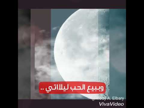 حالات واتس حمو بيكا مهرجان البانتي البمبي 31