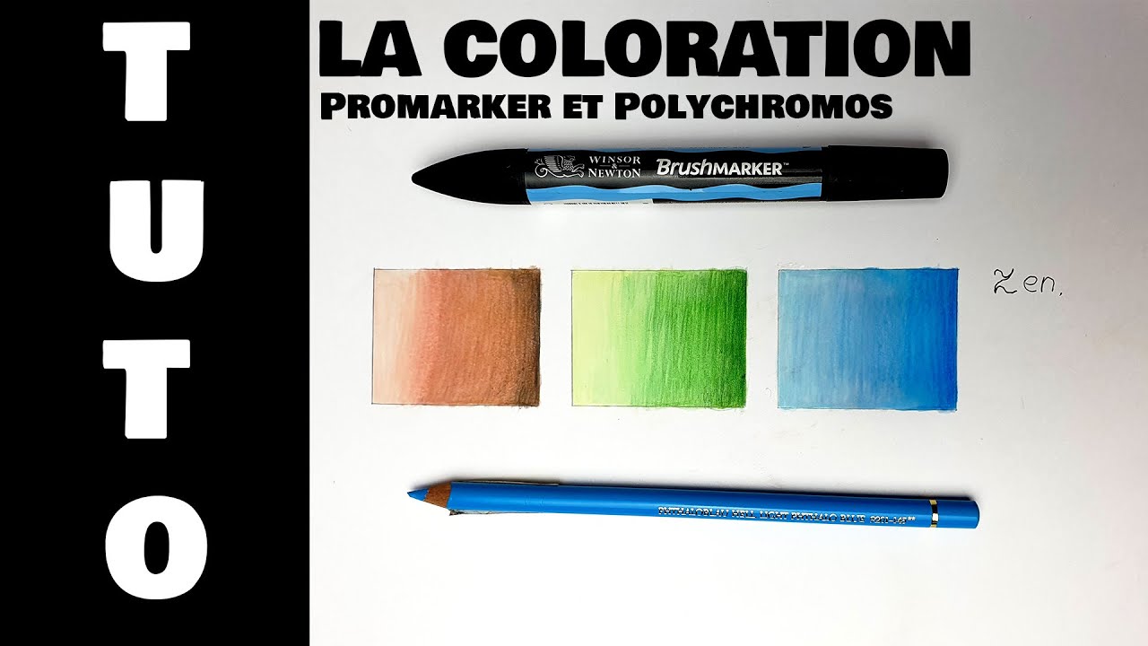 Tutoriel dessin la coloration au promarker et polychromos