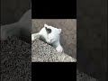 映画のワンシーンみたい!🙉
