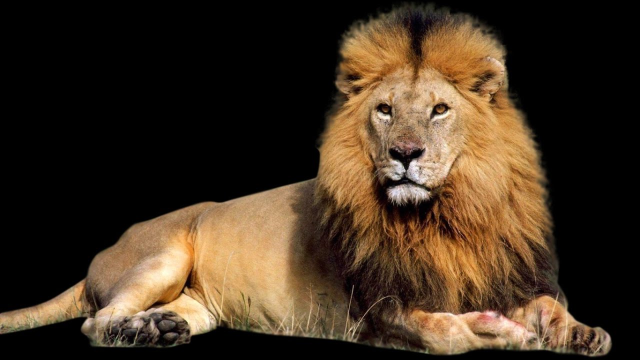 Где обедал воробей - YouTube