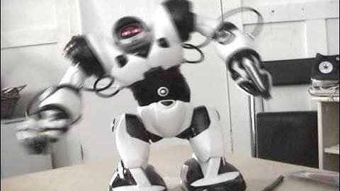 Robosapien V1 vid 1  my camera test veiws