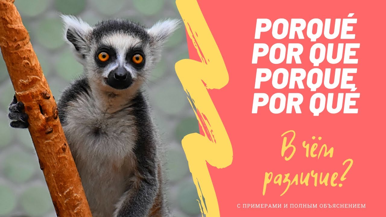 В чем различие между PORQUÉ, PORQUE, POR QUÉ и POR QUE?