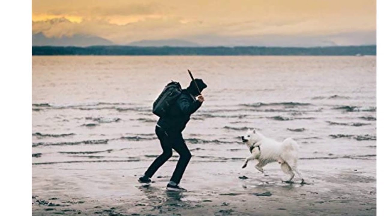 pacsafe dry 25l backpack